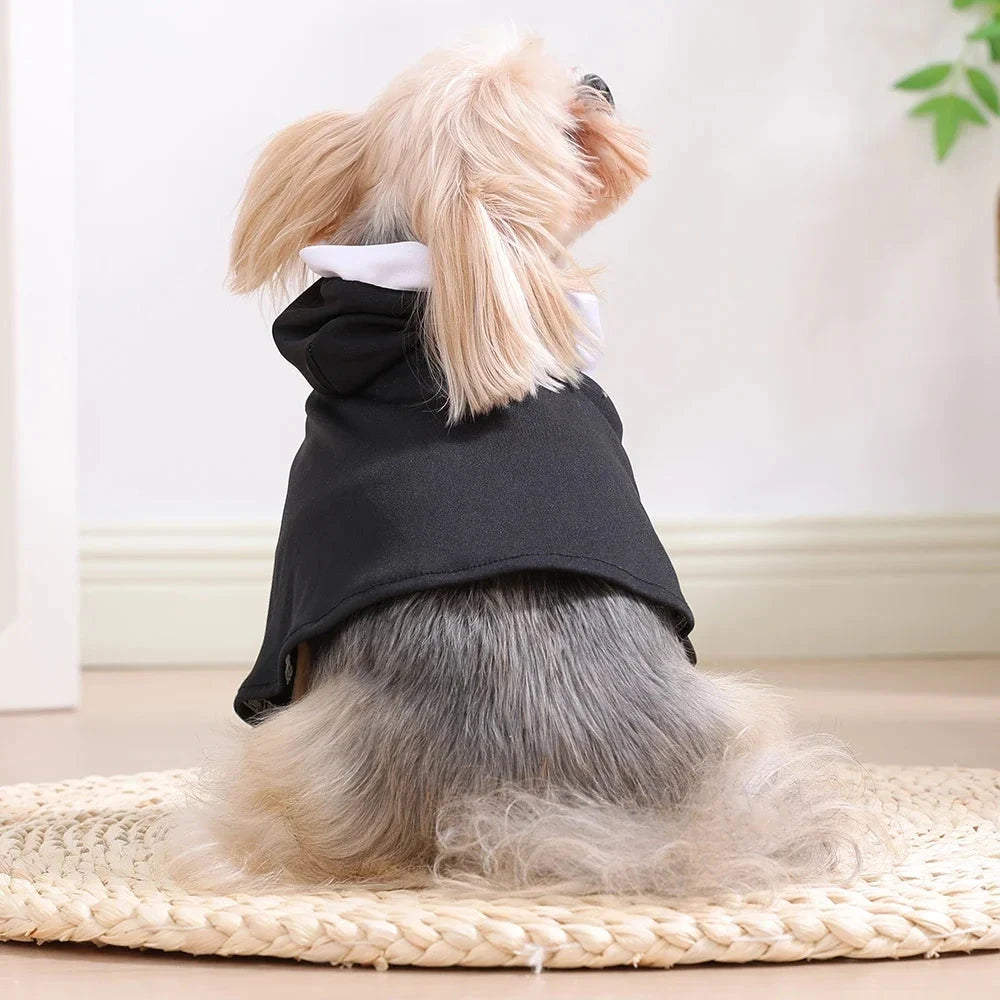 Funny Pet Nun Costume